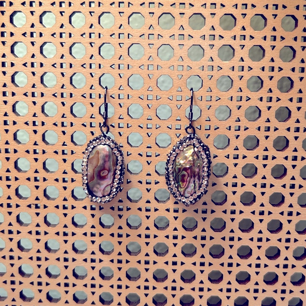 Abalone Stainless Steel Earrings